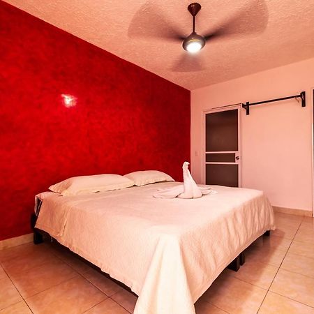 Hotel Bello Caribe Express كوزوميل المظهر الخارجي الصورة